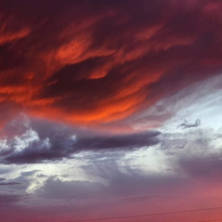 image000000 (11)